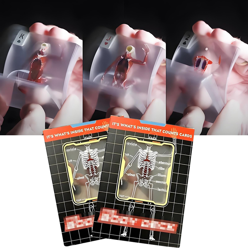 The Body Deck Mannequin Body D - огляд і ціна Board Game Design